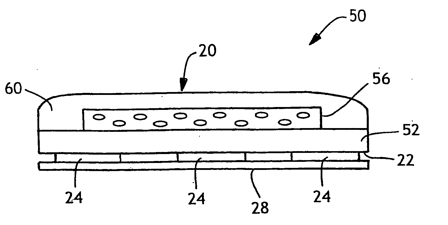 Articles comprising transparent/translucent polymer composition