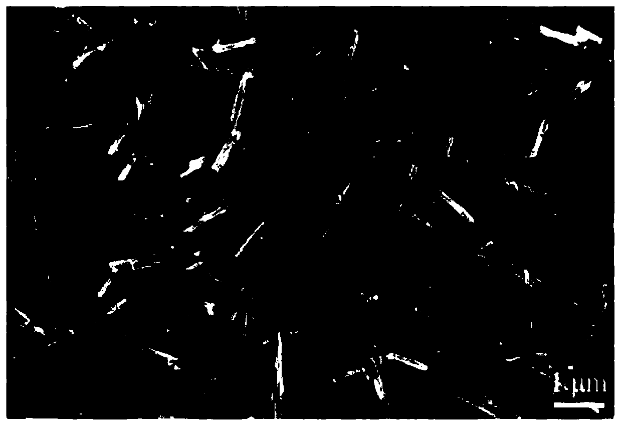 h  <sub>x</sub> moo  <sub>3-y</sub> nanomaterials, h  <sub>x</sub> moo  <sub>3-y</sub> Electrode and solar cell comprising same and preparation method