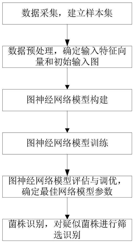 A prediction method of lactic acid bacteria antimicrobial peptides based on graph neural network