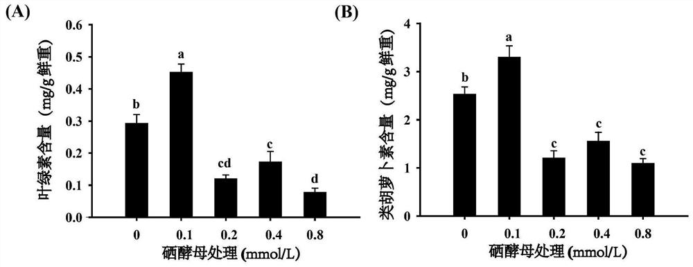 Selenium-enriched cultivation method for cabbages