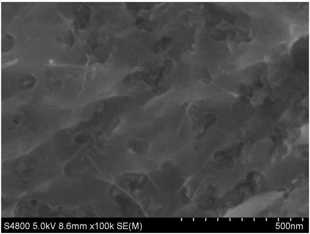 Method for preparing porous boron-carbon-nitrogen nanosheets through freeze drying
