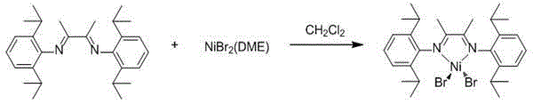 Alpha-diimine nickel metal organic compound and preparation method thereof