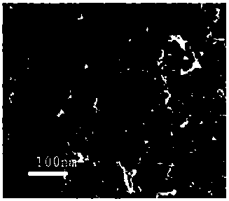 Method for catalytically degrading antibiotic wastewater with photocatalytic material containing indium phosphide doping-modified TiO2