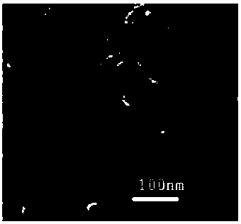 Method for catalytically degrading antibiotic wastewater with photocatalytic material containing indium phosphide doping-modified TiO2