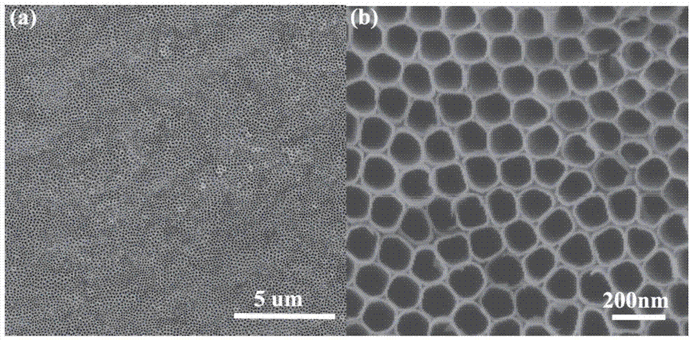 Preparation method of titanium dioxide core/shell nanometer cable array