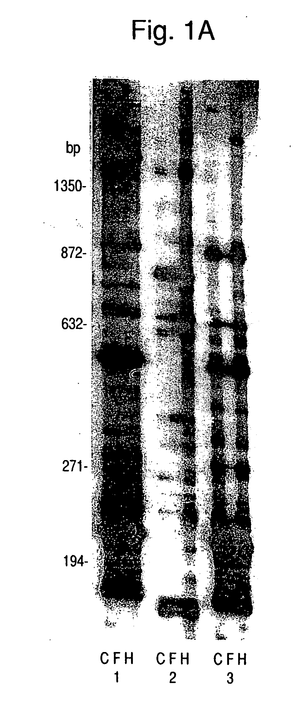 Nucleic acid and amino acid sequences of hemoglobin-response genes in Candida albicans and the use of reagents derived from these sequences in the diagnosis of disseminated Candida albicans infection