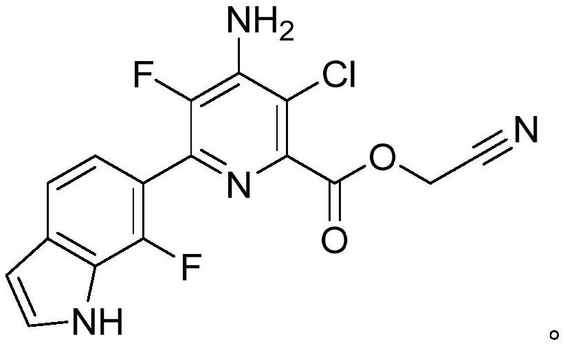 Safened compositions comprising pyridine carboxylate herbicides and cloquintocet