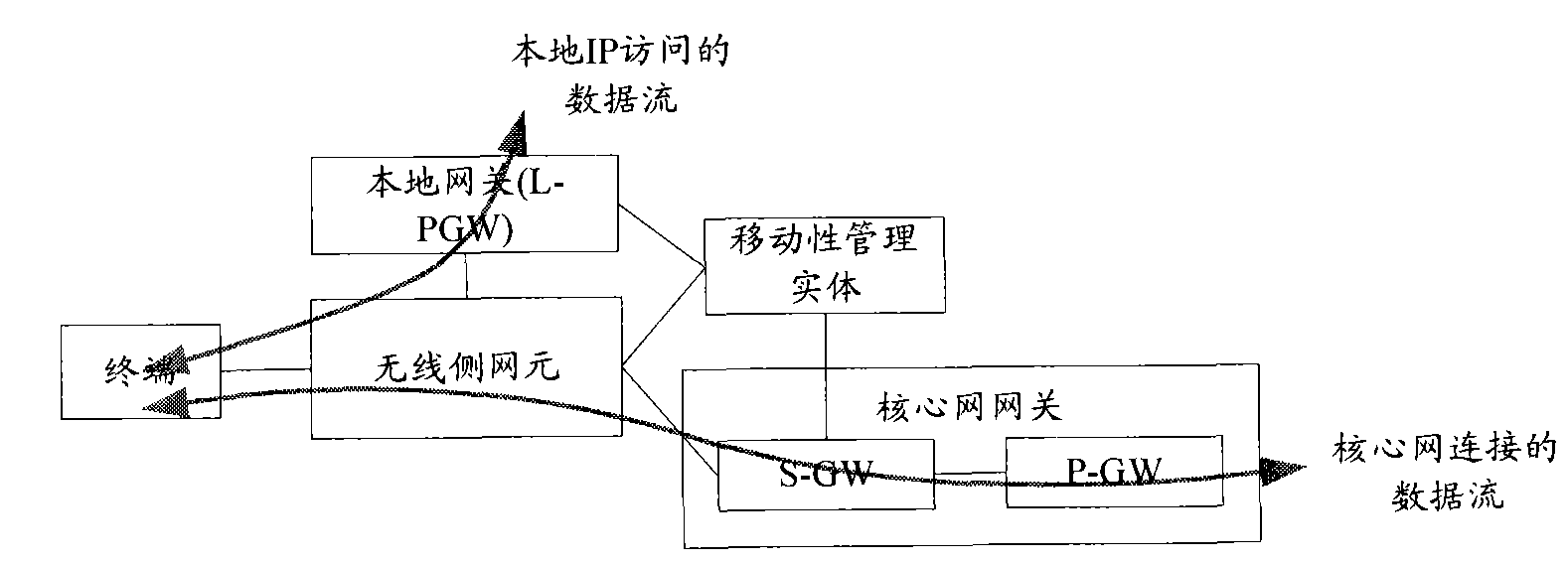 Establishing method and device of local Internet protocol (IP) access connection
