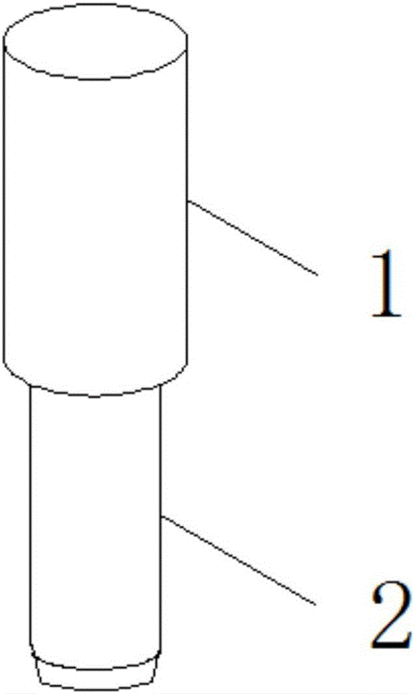 Isolated-shoot rot resistance identification method for fruit trees