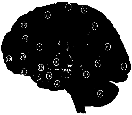 Brain dominance ability analysis method