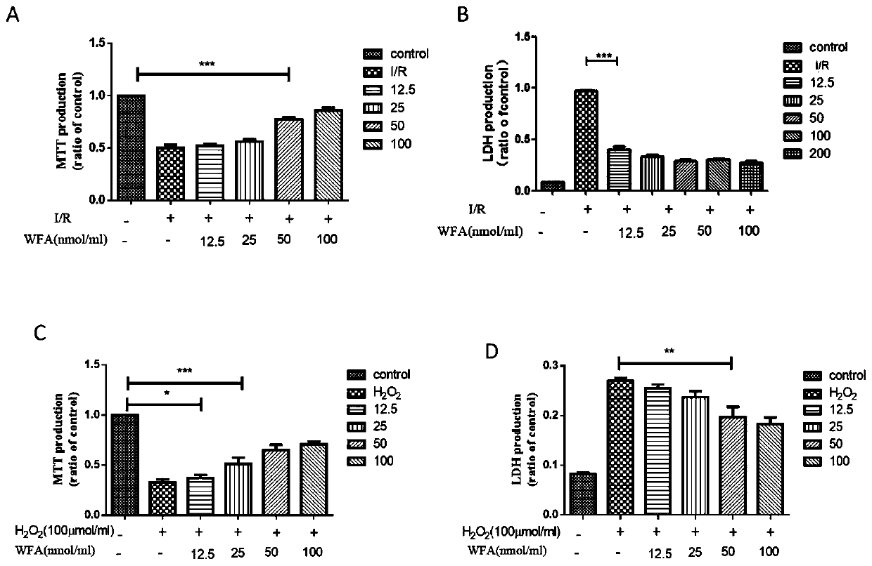 Application of Withaferin A in preparing drug for treating fundus ischemic disease