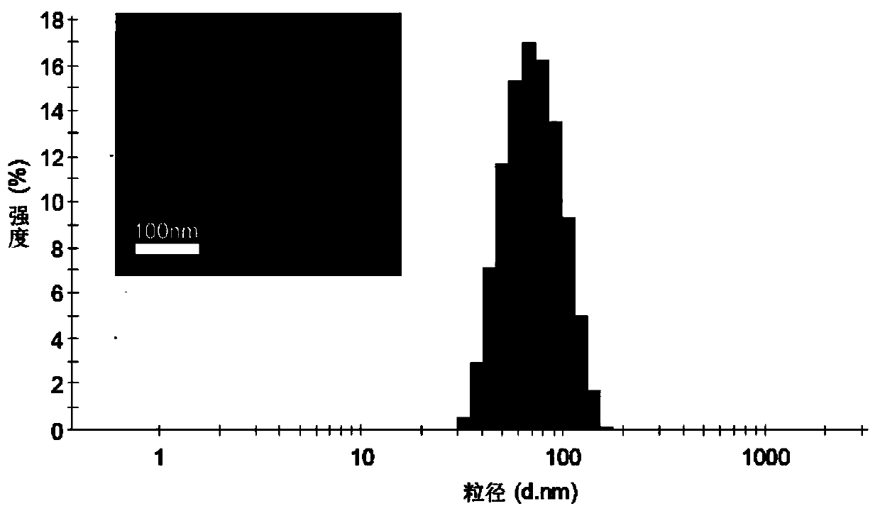 Preparation method and application of redox-sensitive targeting polymer and drug-loaded micelles thereof