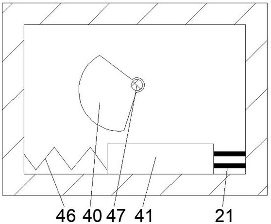 Aphid removal forest protection spraying device