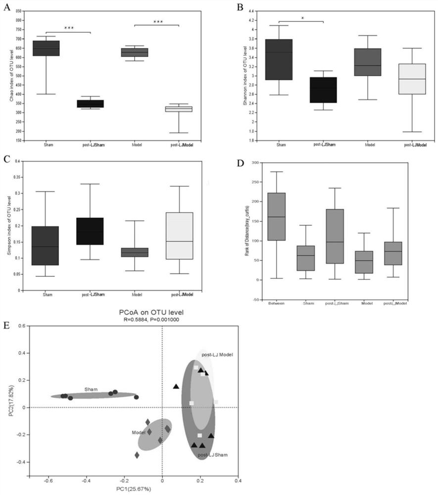 Lactobacillus johnsonii and application thereof