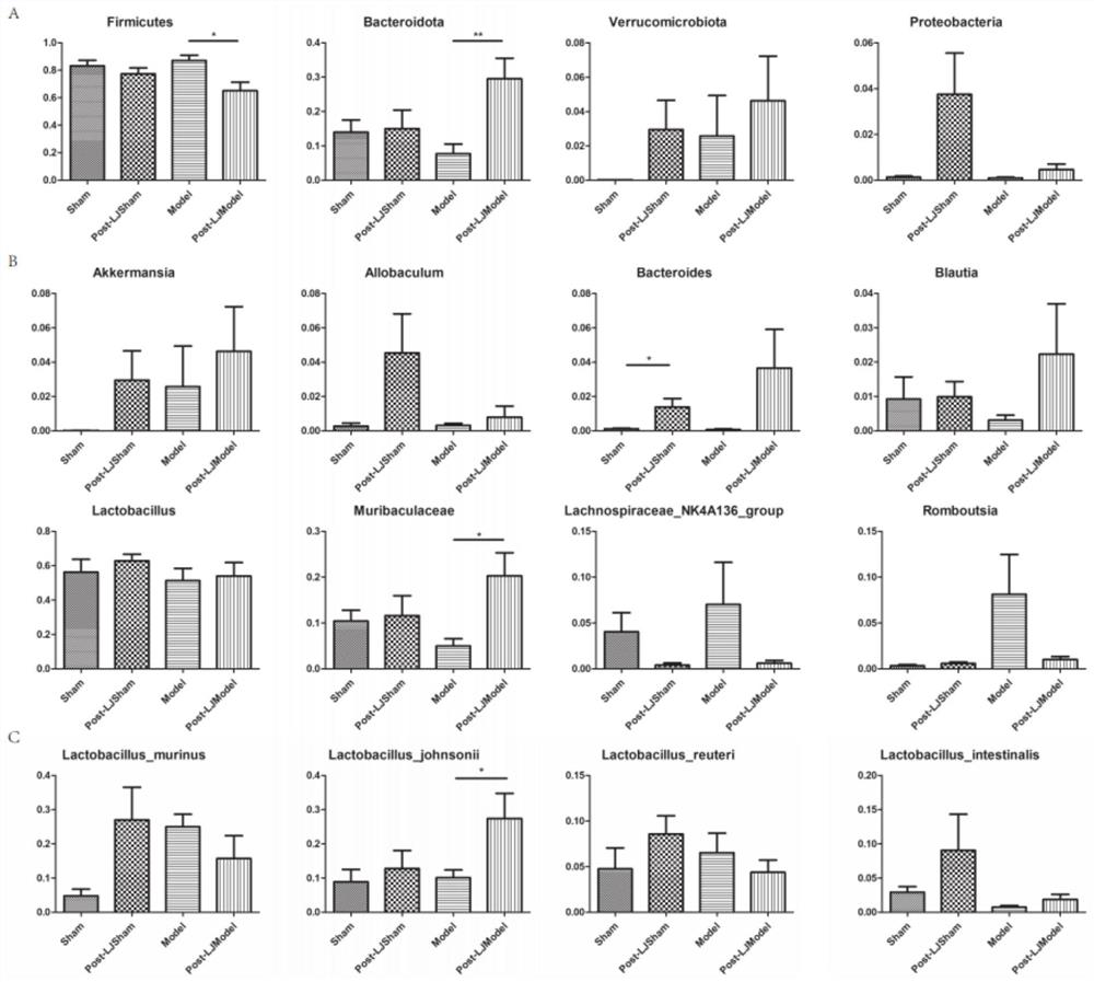 Lactobacillus johnsonii and application thereof