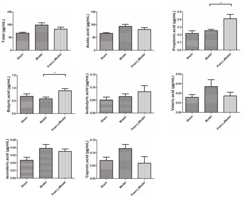 Lactobacillus johnsonii and application thereof