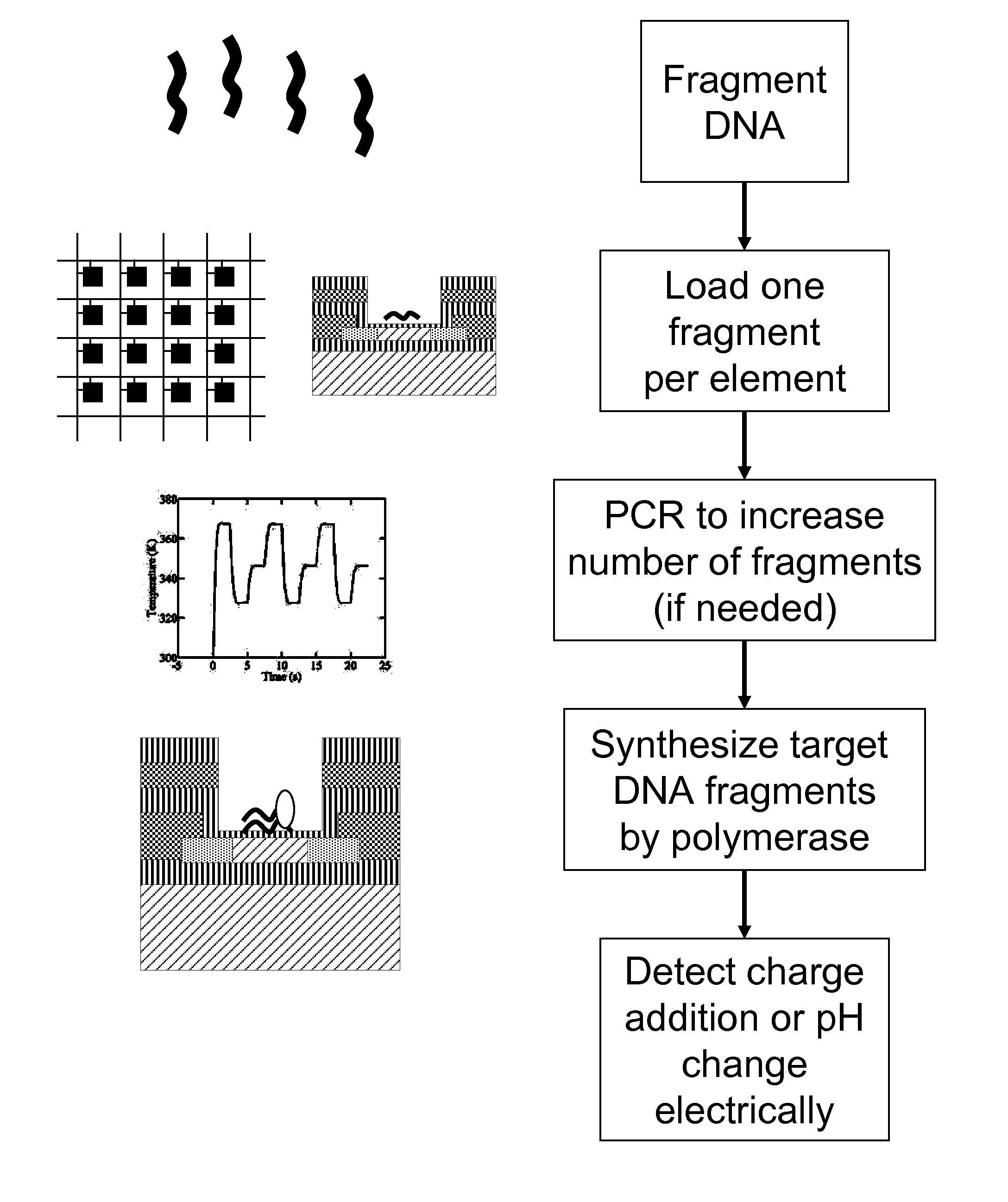 DNA sequencing and amplification systems using nanoscale field effect sensor arrays
