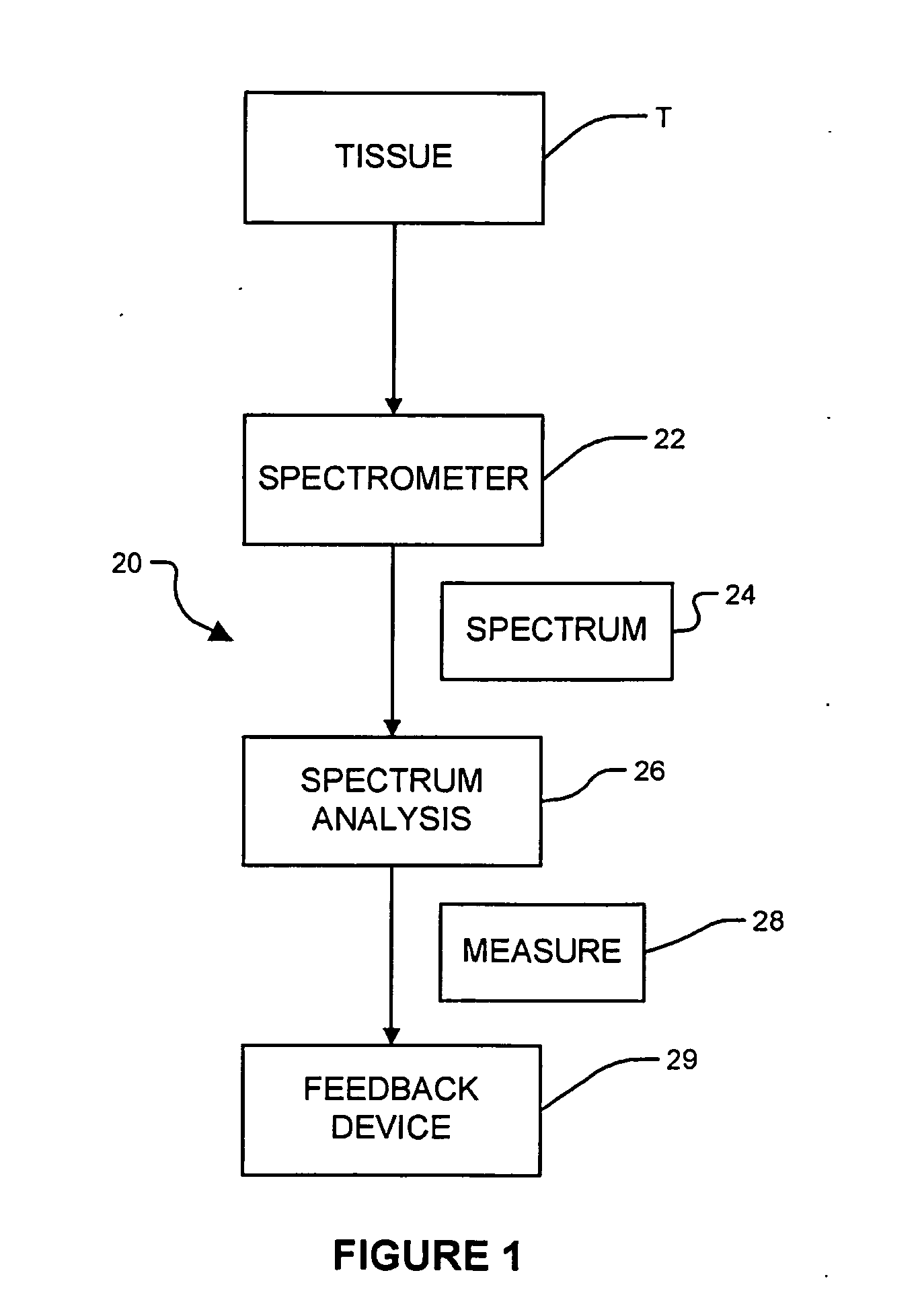 Apparatus and methods for characterization of lung tissue by raman spectroscopy