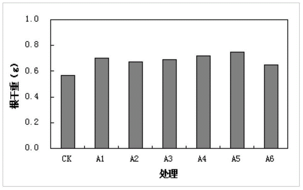 Seaweed water-soluble fertilizer and preparation method thereof