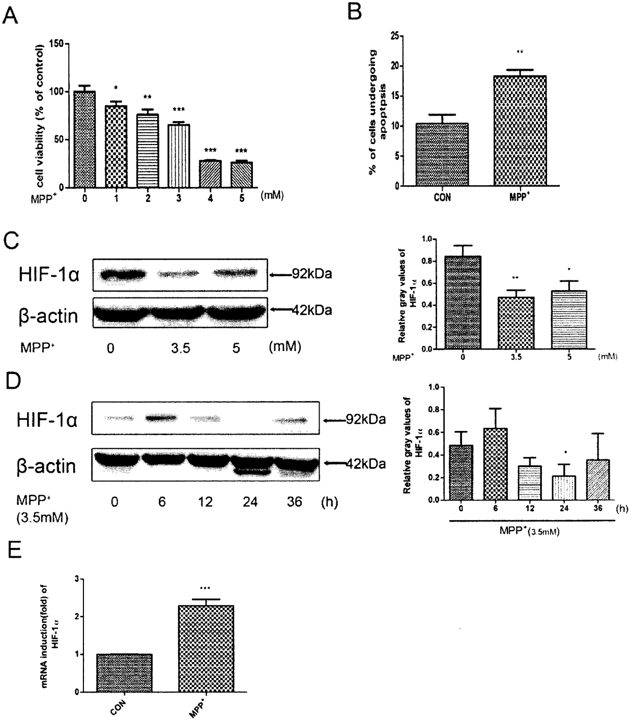 Application of HIF-1alpha micromolecular activator in preparation of medicine for treating neurodegenerative diseases