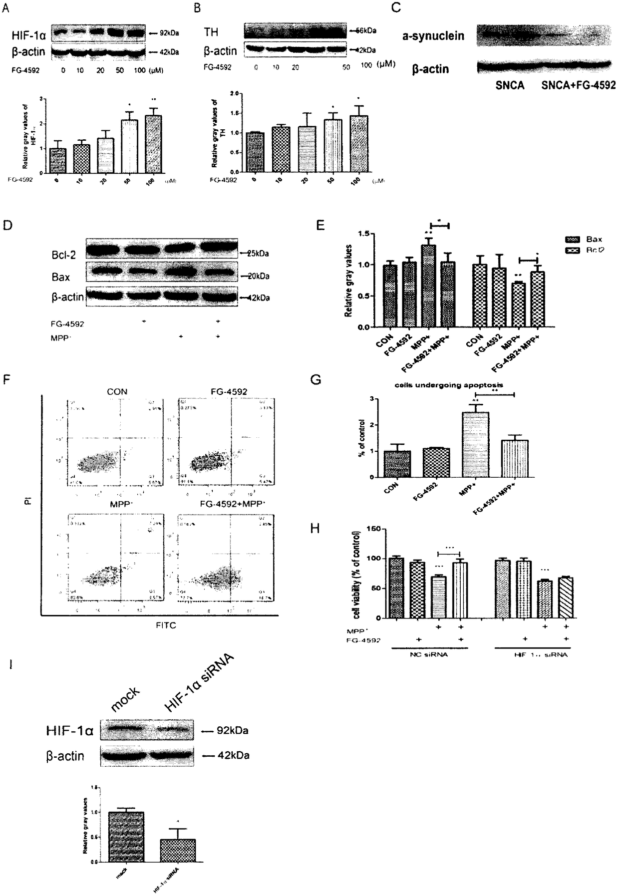 Application of HIF-1alpha micromolecular activator in preparation of medicine for treating neurodegenerative diseases