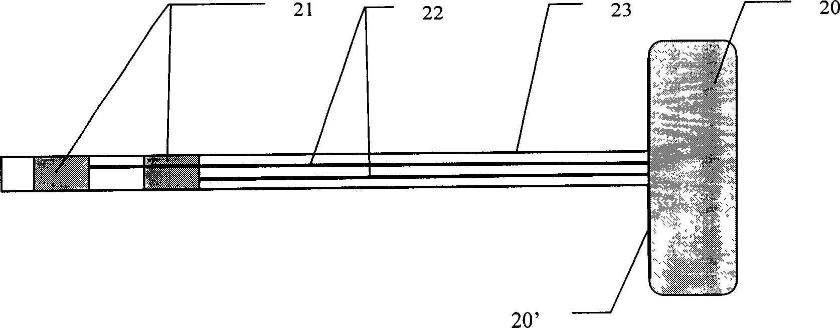 Implant type electronic acupuncture and moxibustion therapeutic device