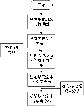 Magnetofluid concentration distribution prediction method based on injection strategy