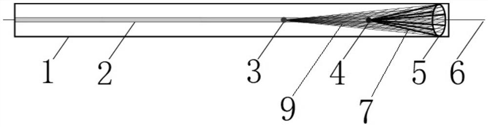 Blood flow protection device for lower limb artery reverse protection umbrella