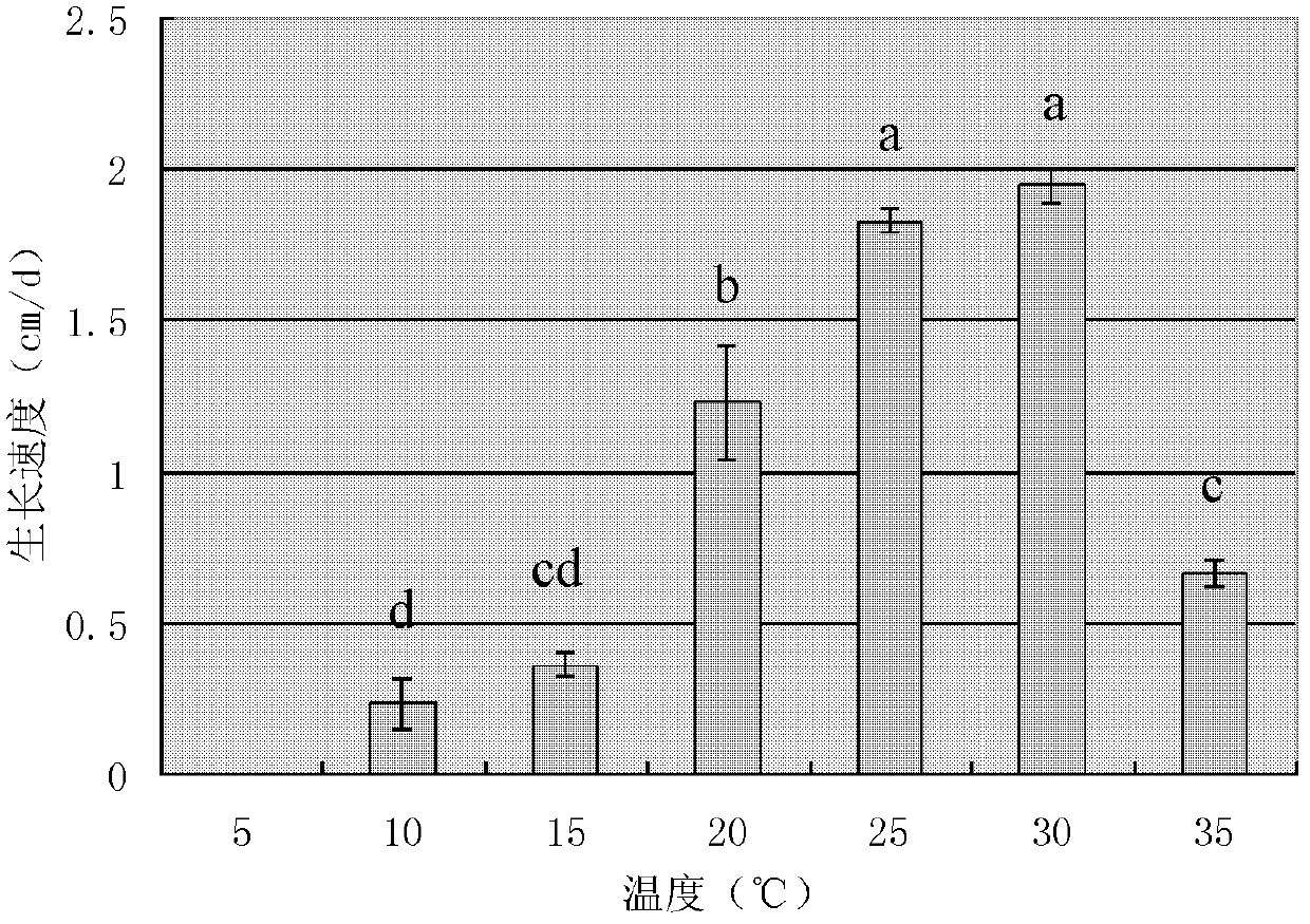Trichoderma harzianum Sch234 bacterial strain as well as preparation method and application thereof