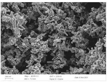 Photocatalyst for efficiently degrading antibiotics and preparation method and application of photocatalyst