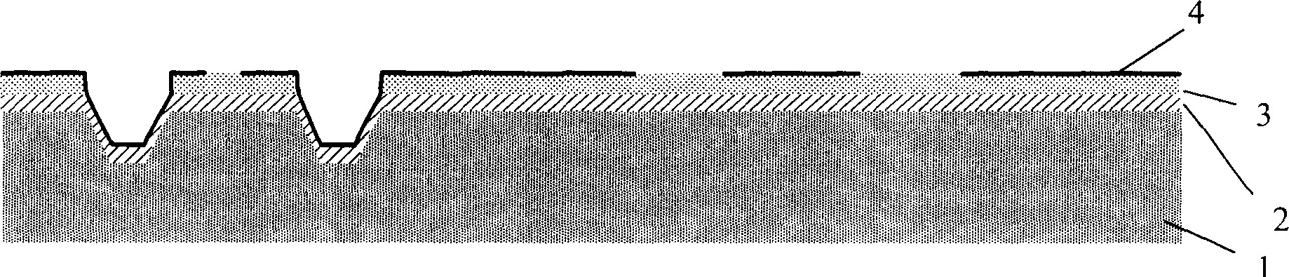 Projected electrode based on polymer substrate, its making method and use