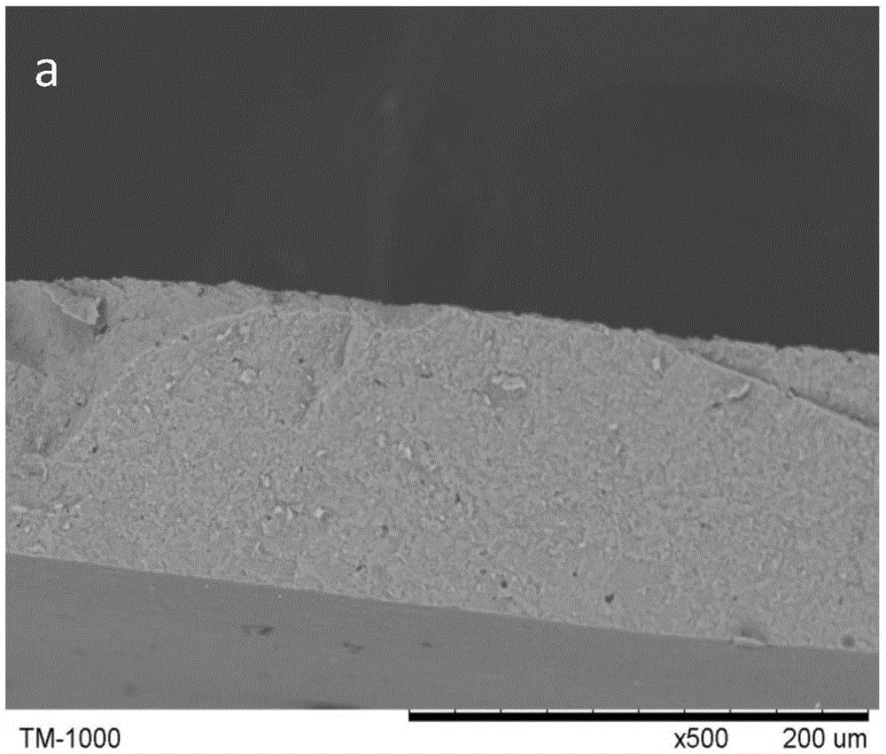 Glass-ceramic powder precursor, glass-ceramic powder, preparation method and application thereof