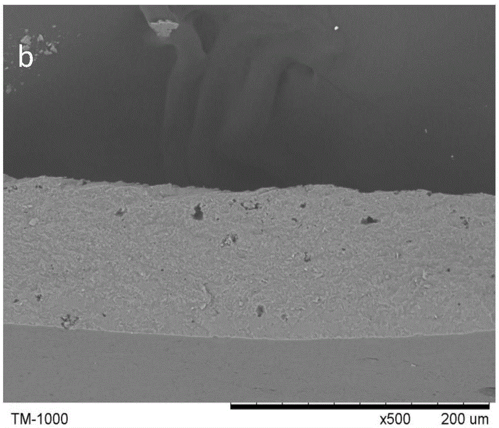 Glass-ceramic powder precursor, glass-ceramic powder, preparation method and application thereof