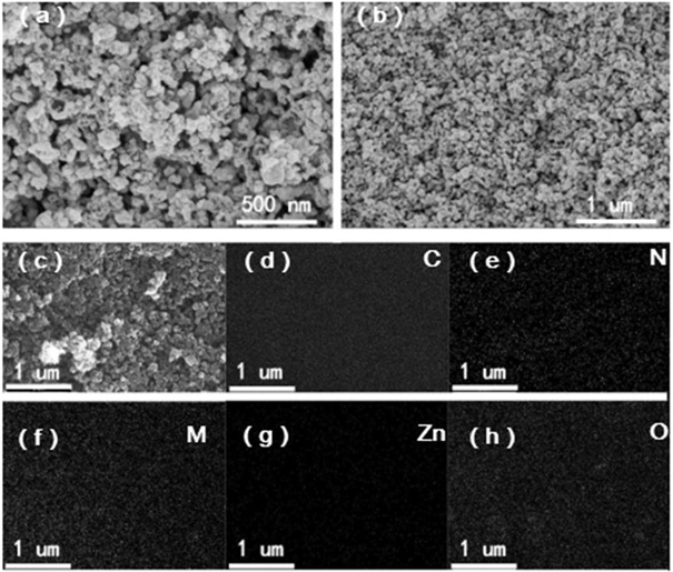Preparation method of plant polyphenol modified manganese-based nano composite electrocatalyst with supramolecular network framework structure