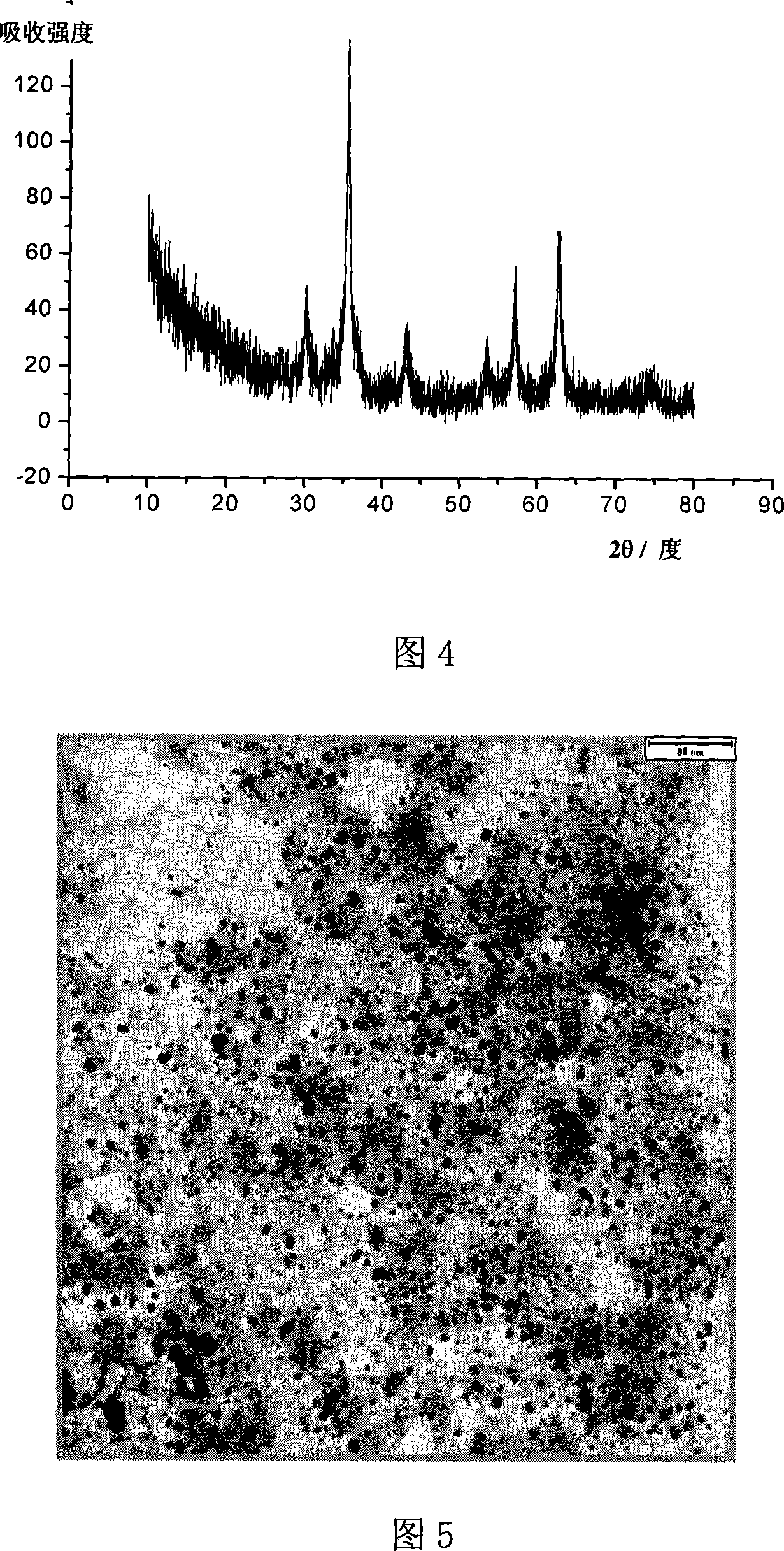 Magnetic nanometer particulate of liposoluble photosensitizer and method for preparing the same