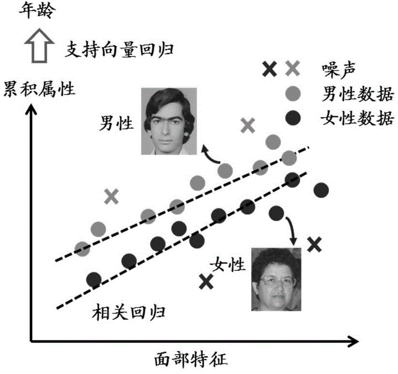 Correlation regression based face age calculating method