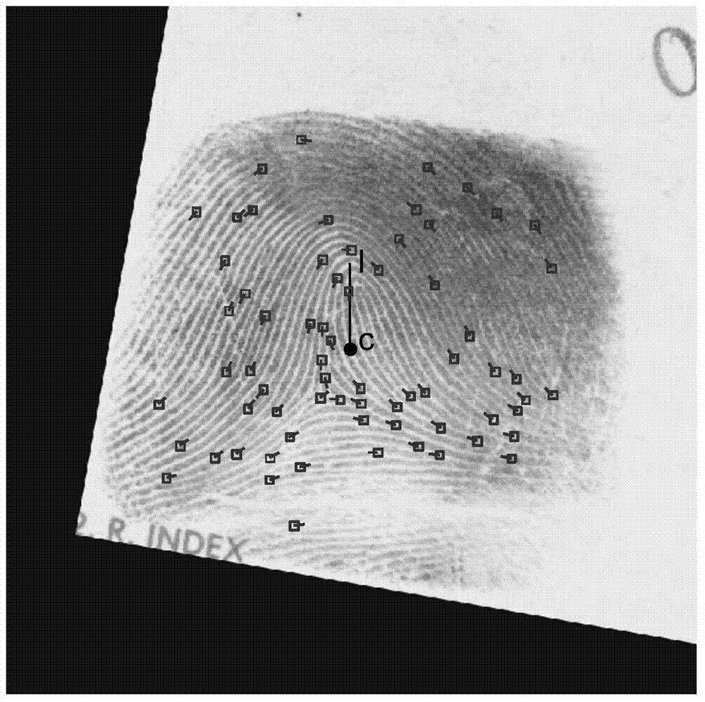 Posture correcting based fingerprint retrieval method and system