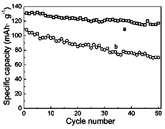 Conductive polymer hydrogel as well as preparation method and application thereof