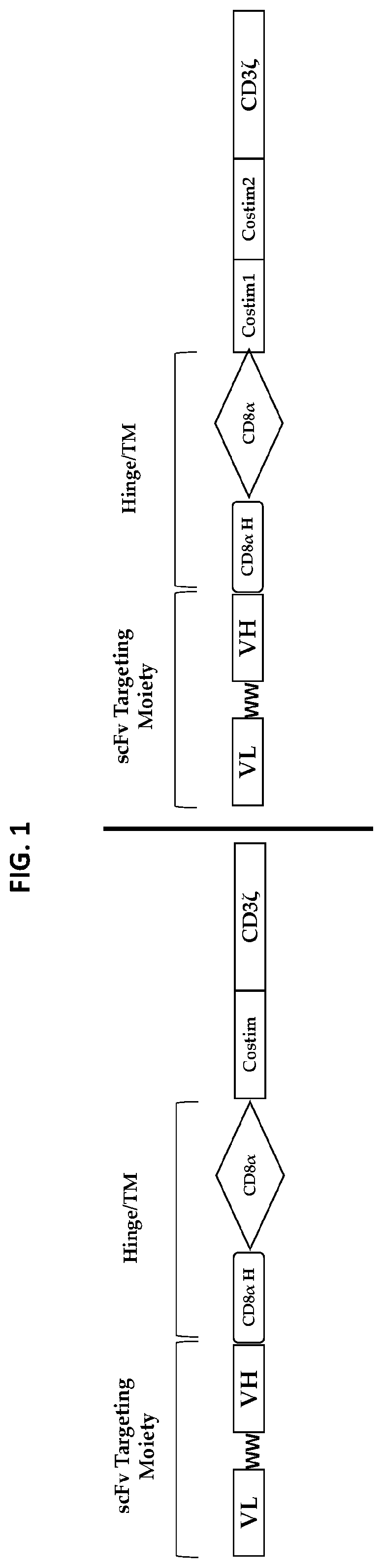 Compositions and methods regarding engineered and non-engineered gamma delta t-cells for treatment of solid tumors