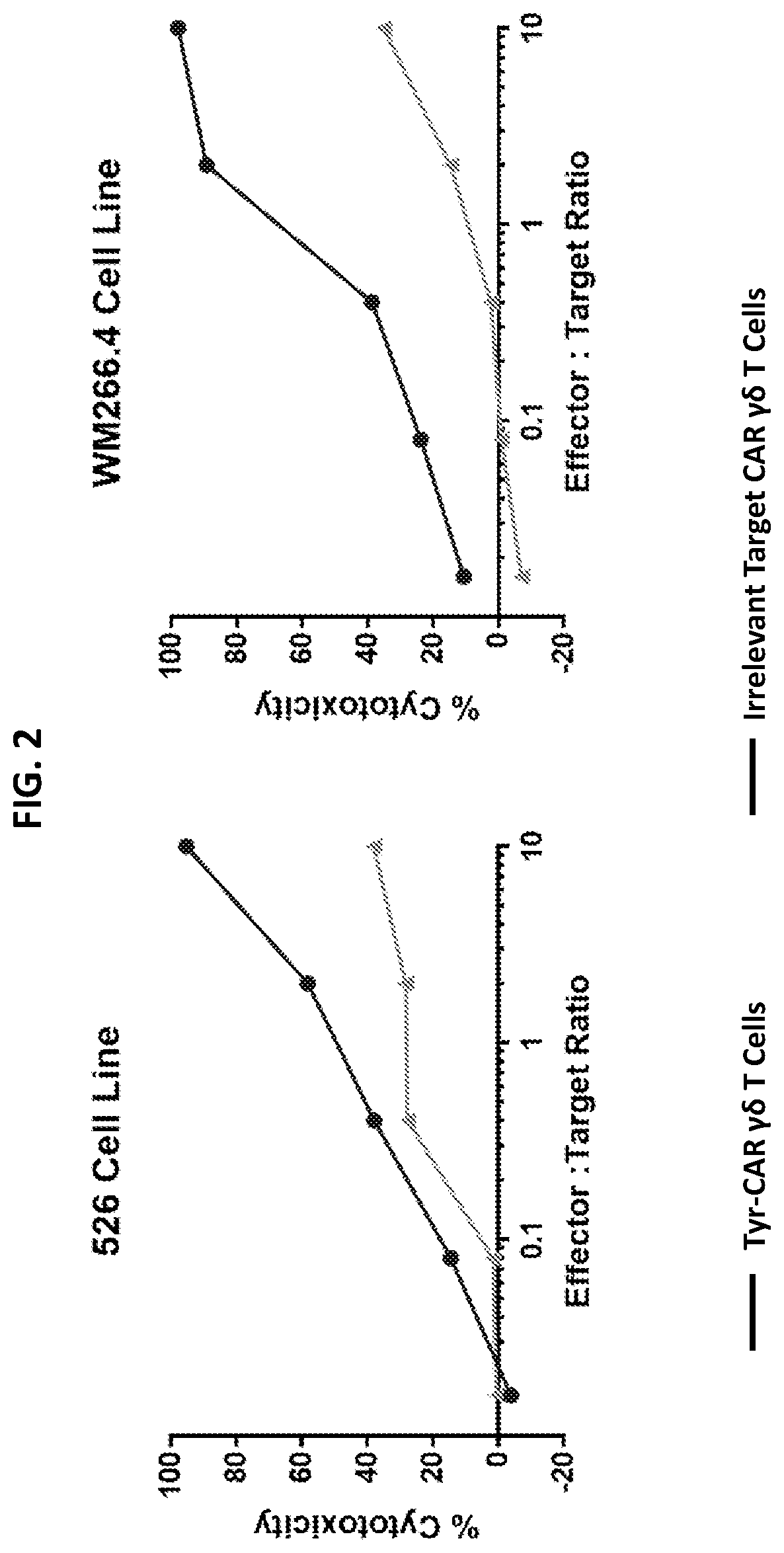 Compositions and methods regarding engineered and non-engineered gamma delta t-cells for treatment of solid tumors