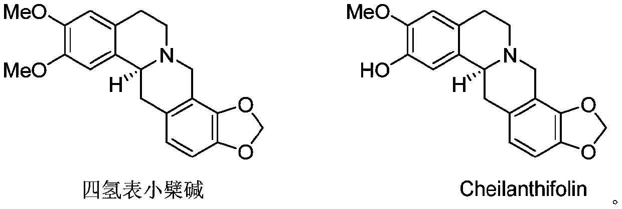 Application of protoberberine-type compound with TDO selective inhibition activity in medicament preparation