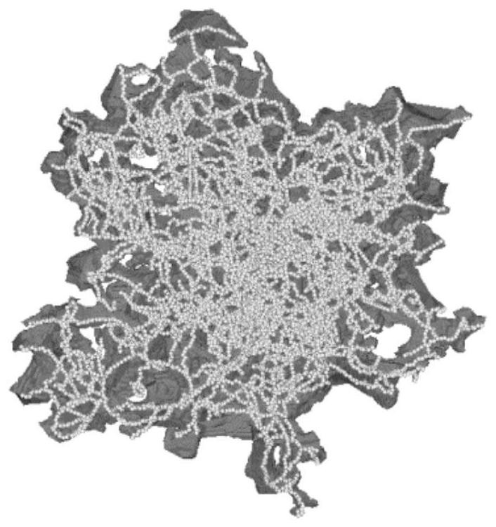 Axis point and maximum inscribed ball combined pore network model construction method