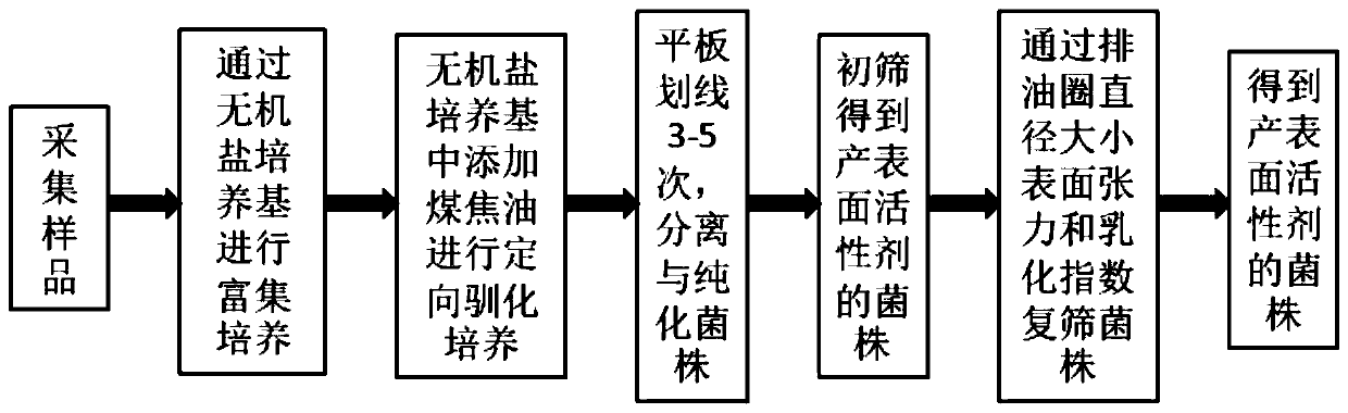 A Surfactant-Producing Bacteria and Its Application to In Situ Reduction of PAHs in Coal/Petrochemical Wastewater