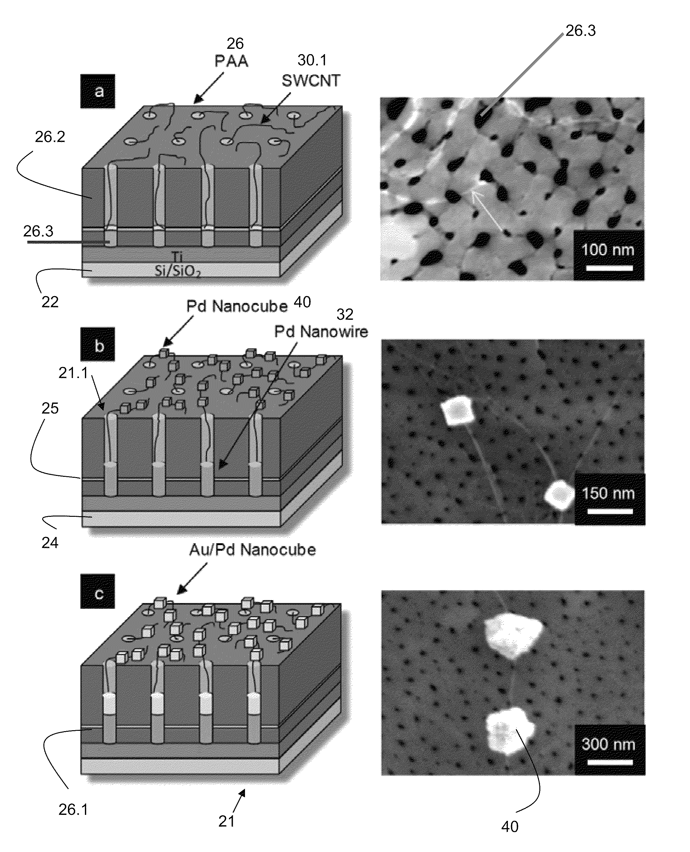 Electrochemical biosensor