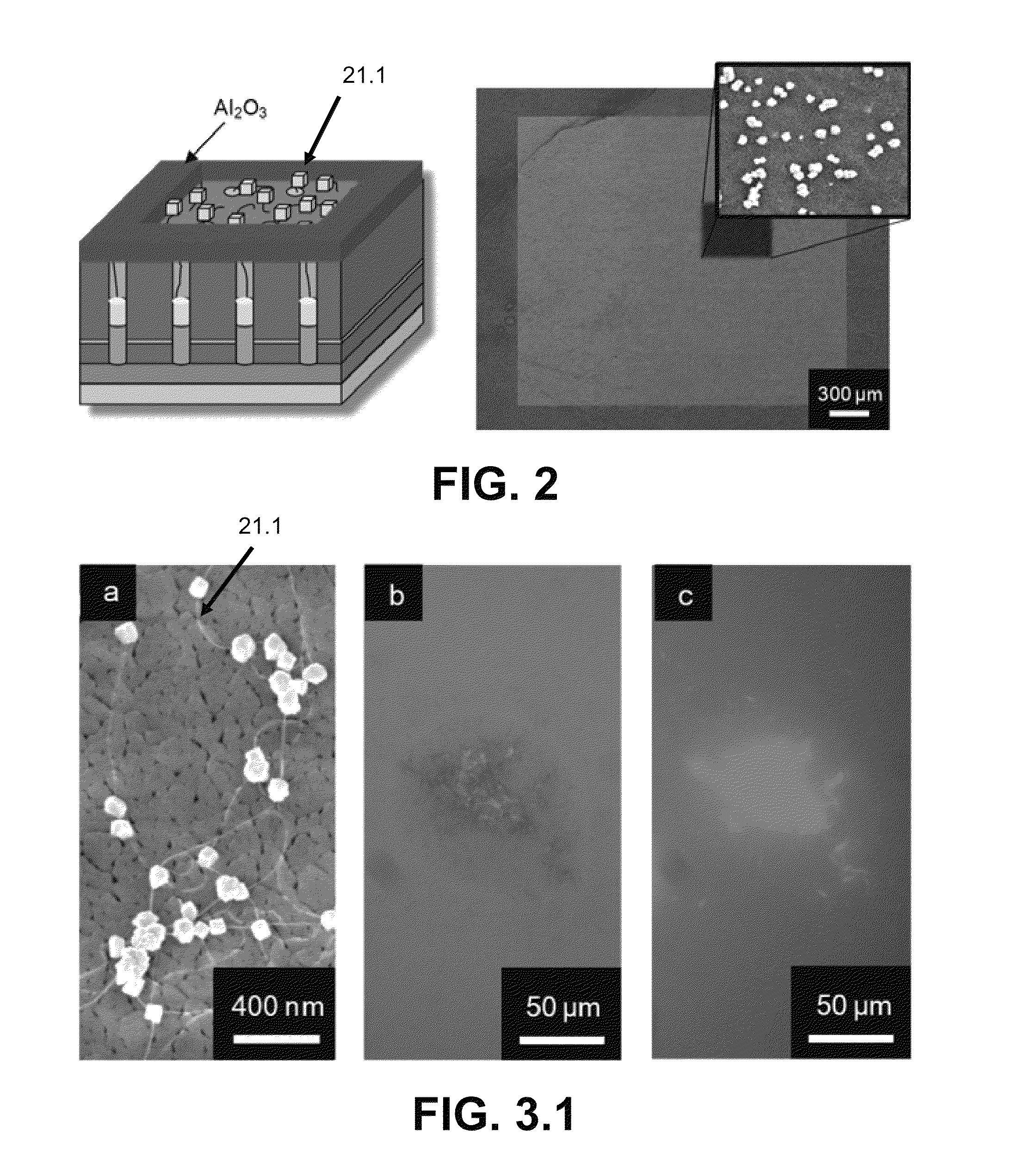 Electrochemical biosensor