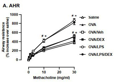 Application of gamma-glutamyltranspeptidase inhibitor GGsTop in preparation of medicine for treating acute attack of asthma and refractory asthma