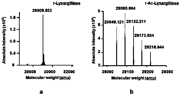 Recombinant acetylated lysine arginine N-terminal protease and preparing method and applications thereof