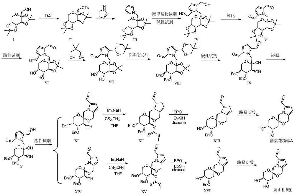 Total synthesis method for rape pollen alkali A and caper alkali B and analogues thereof