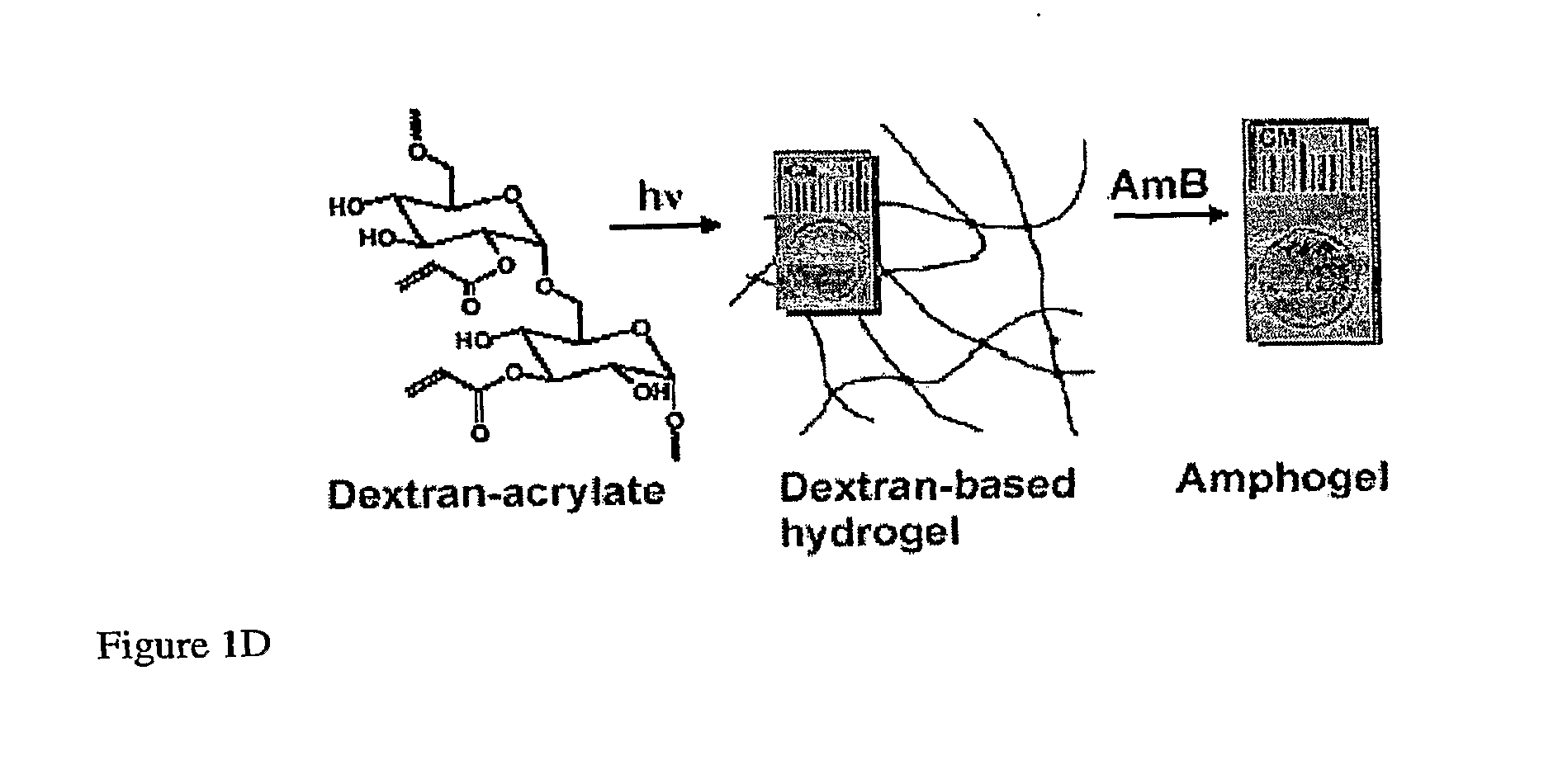 Coating of devices with effector compounds