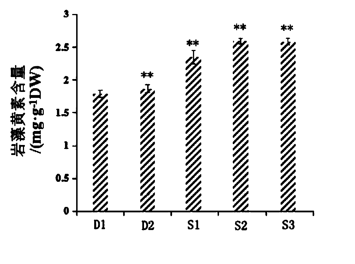 Method for increasing fucoxanthin content of phaeodactylum tricornutum by photosynthetic accelerant